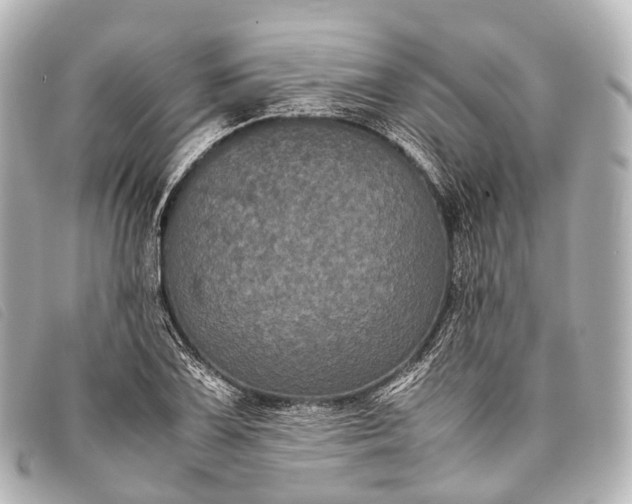 X0000093371075200710251148