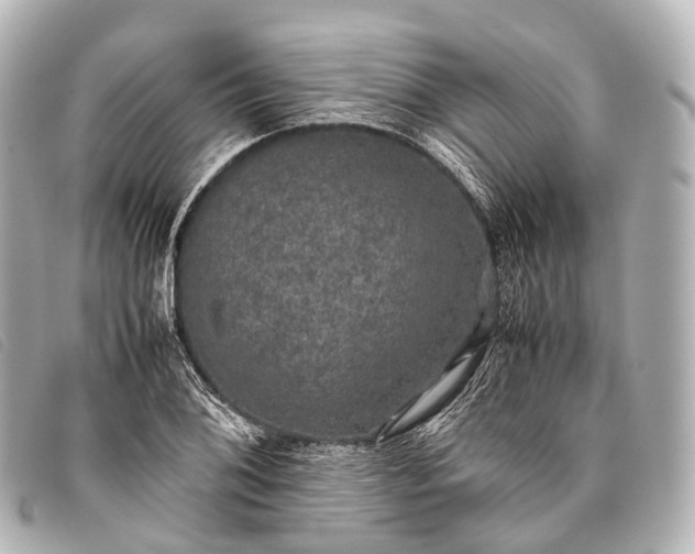 X0000093371076200710251148