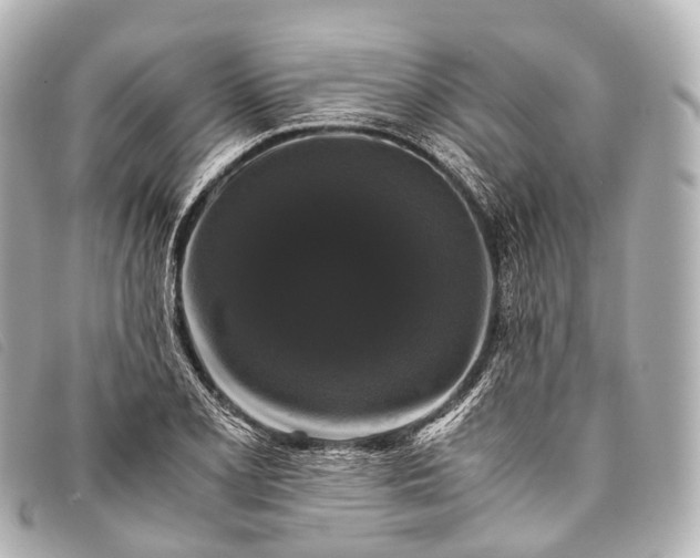 X0000093371077200710251148