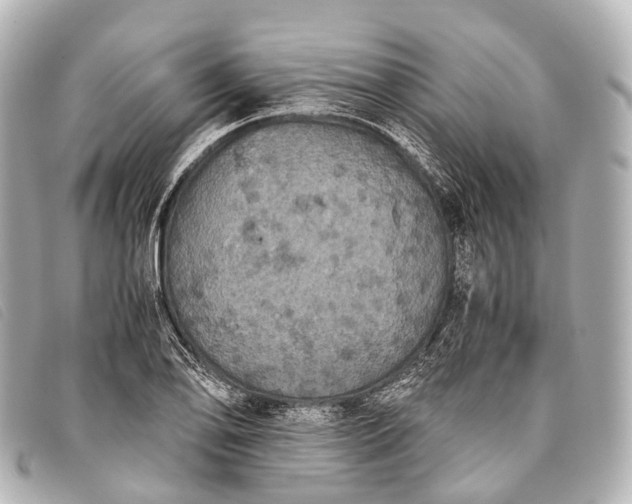 X0000093371078200710251148