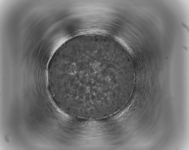 X0000093371079200710251148