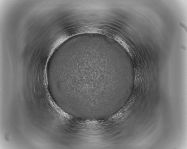 X0000093371080200710251148