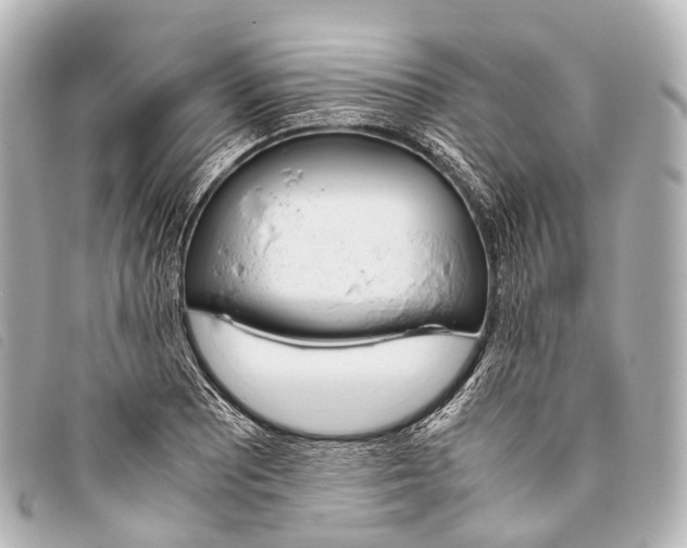 X0000093371081200710251148