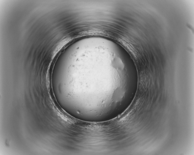 X0000093371082200710251148