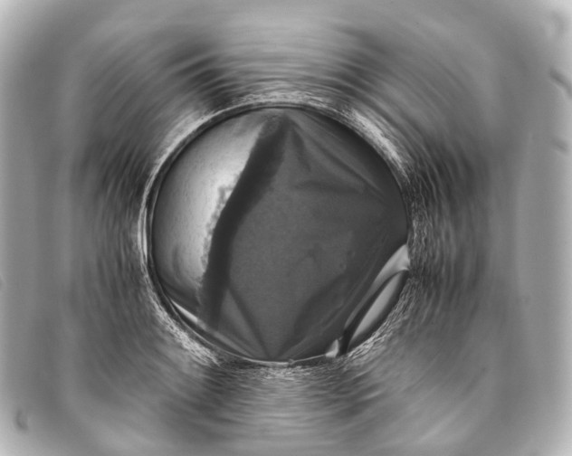 X0000093371084200710251148