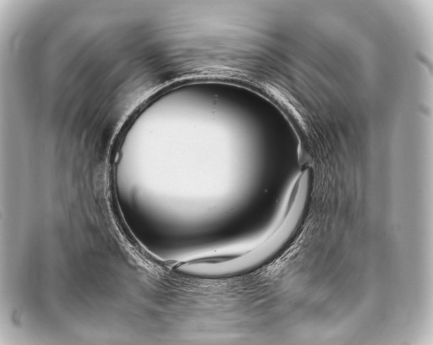 X0000093371085200710251148