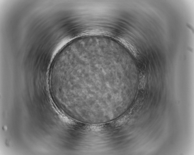 X0000093371086200710251148