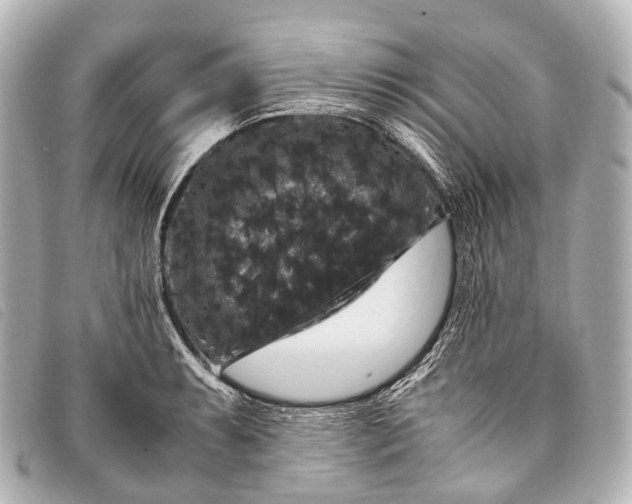 X0000093371087200710251148