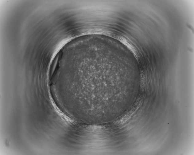 X0000093371088200710251148