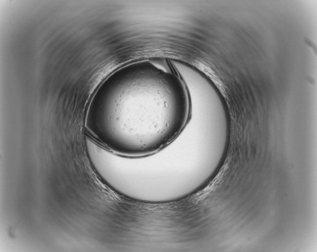 X0000093371089200710251148