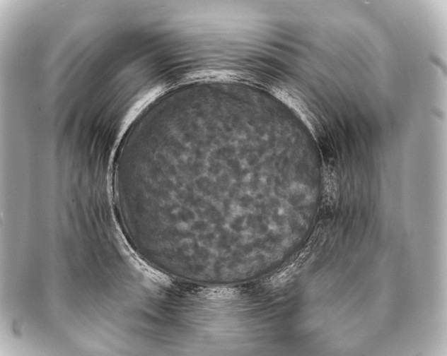 X0000093371090200710251148