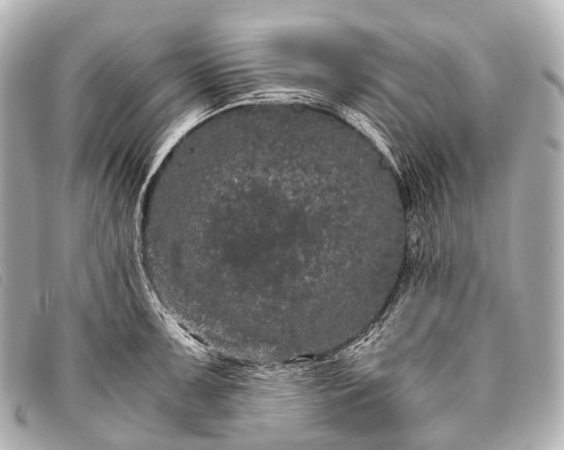 X0000093371091200710251148