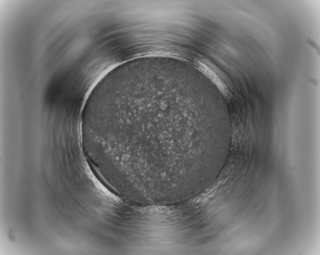 X0000093371092200710251148