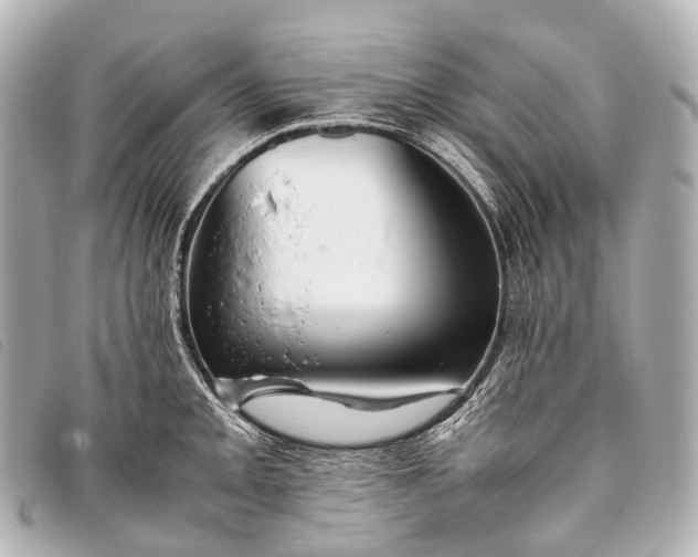 X0000093371093200710251148