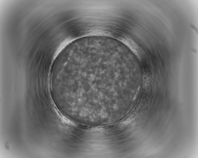 X0000093371094200710251148