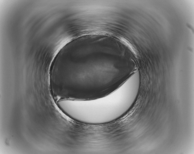 X0000093371095200710251148