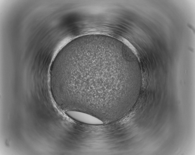 X0000093371096200710251148