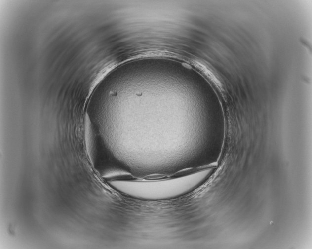 X0000093371097200710251148