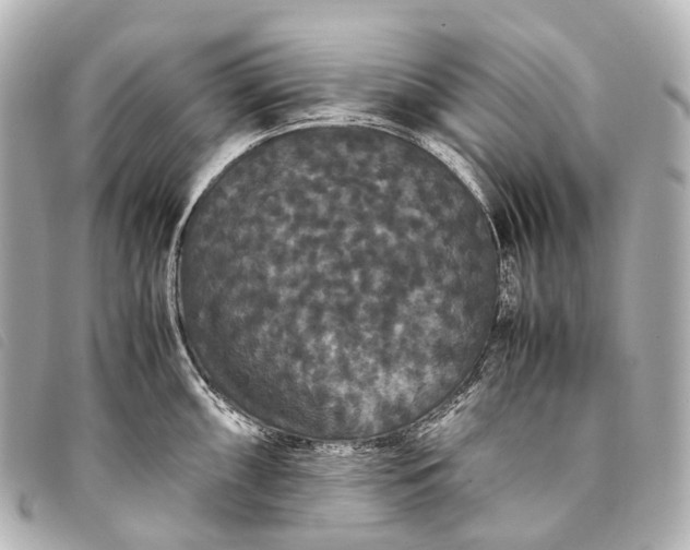 X0000093371098200710251148