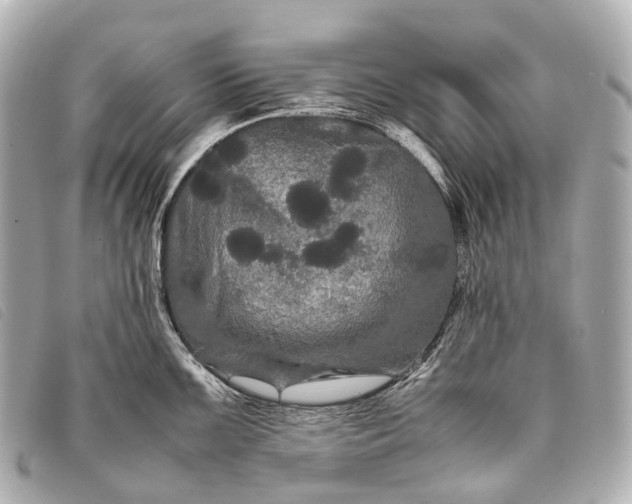 X0000093371099200710251148