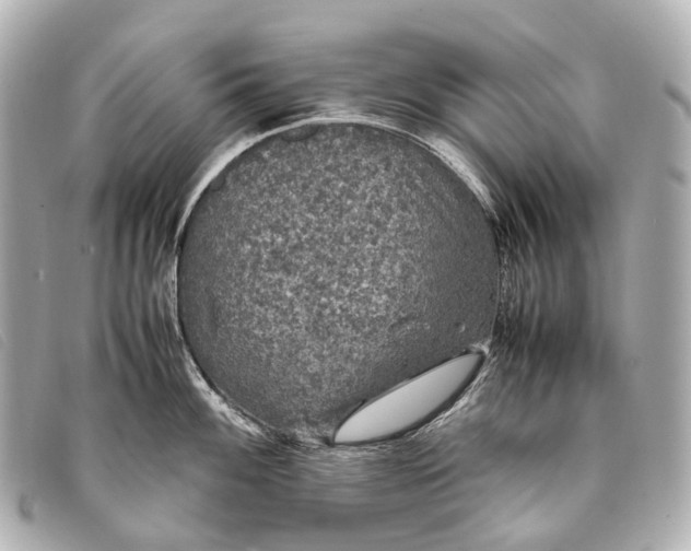 X0000093371100200710251148