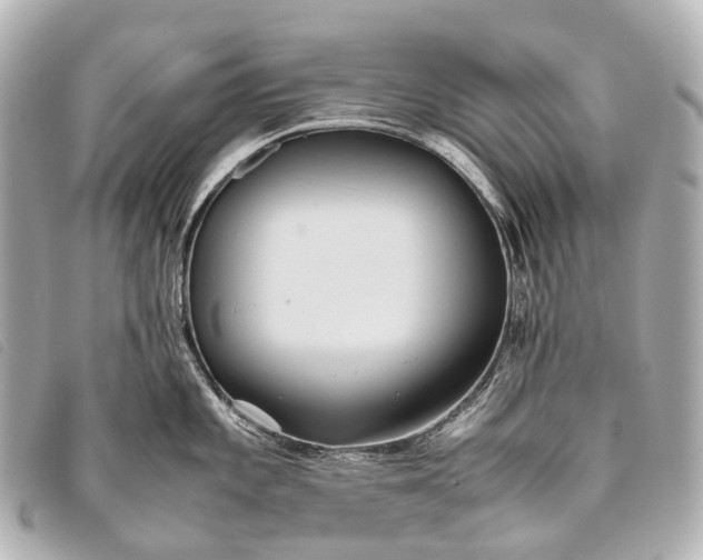 X0000093371101200710251148