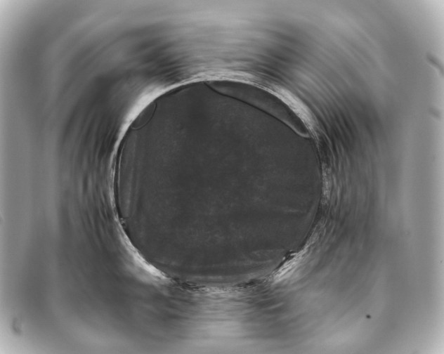 X0000093371102200710251148