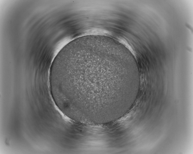 X0000093371103200710251148