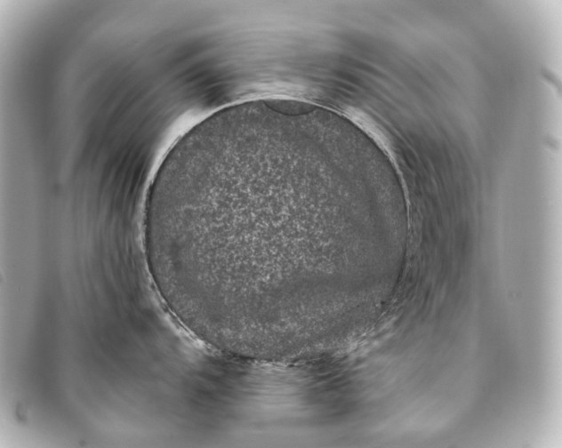 X0000093371104200710251148