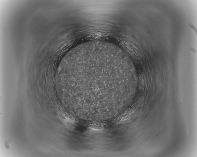 X0000093371105200710251147