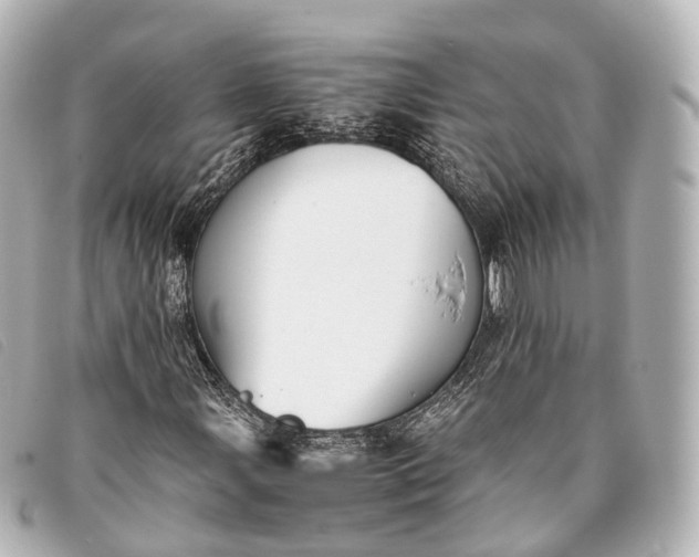 X0000093371107200710251147