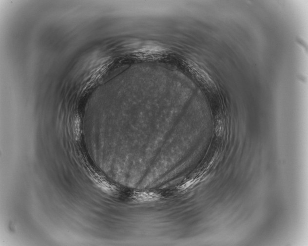 X0000093371108200710251147