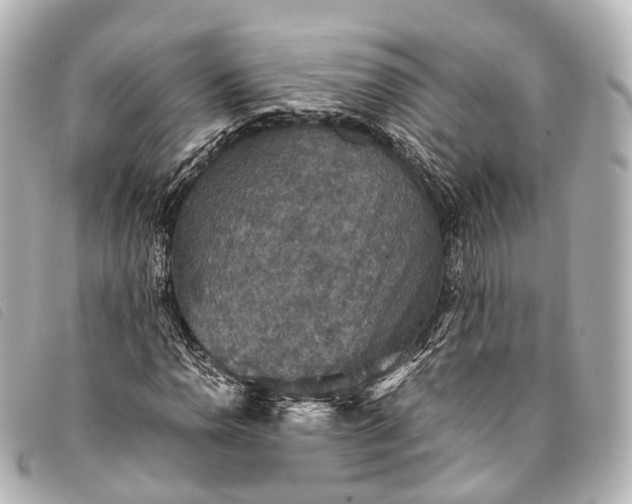 X0000093371110200710251147