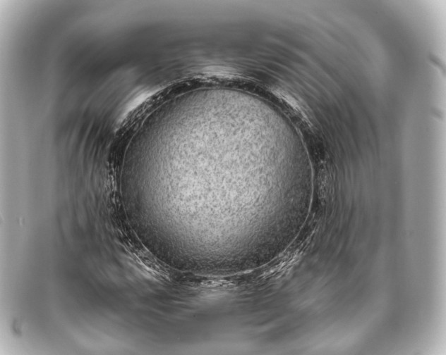 X0000093371112200710251147