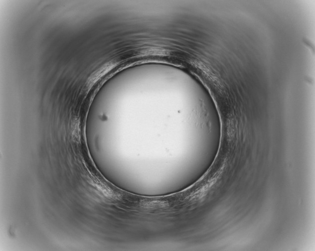 X0000093371113200710251147