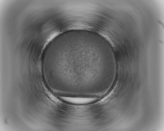 X0000093371114200710251147