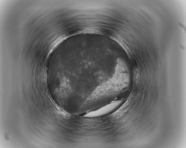 X0000093371115200710251147