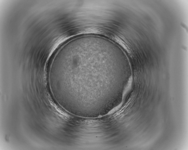 X0000093371116200710251147