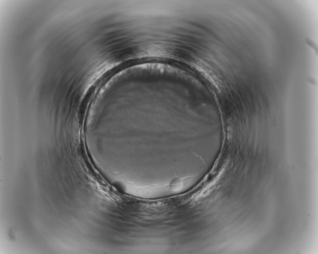 X0000093371117200710251147