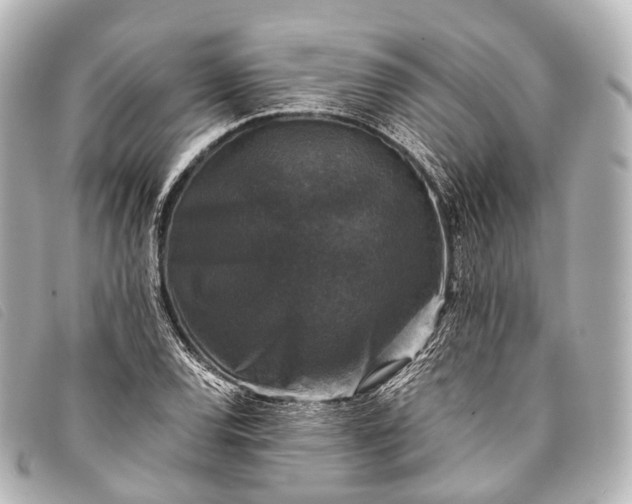 X0000093371120200710251147