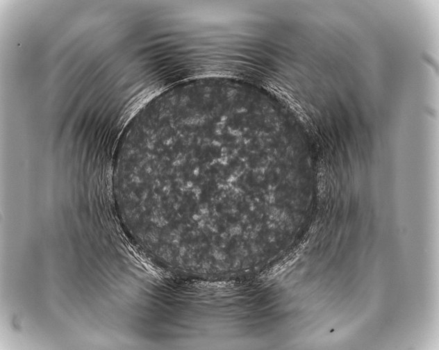 X0000093371121200710251147