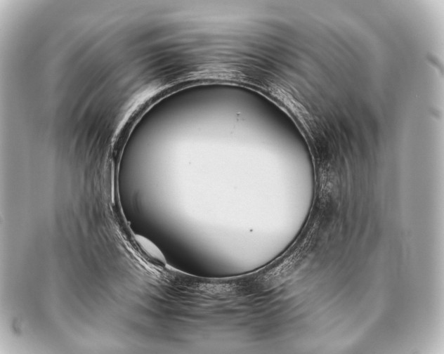 X0000093371123200710251147