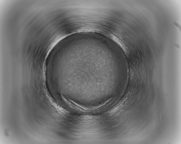 X0000093371124200710251147