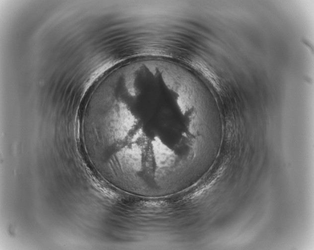 X0000093371125200710251147