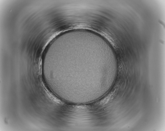 X0000093371126200710251147