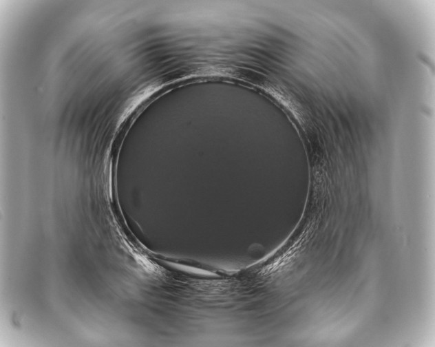 X0000093371127200710251147