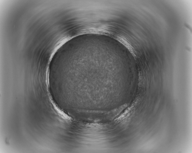 X0000093371128200710251147