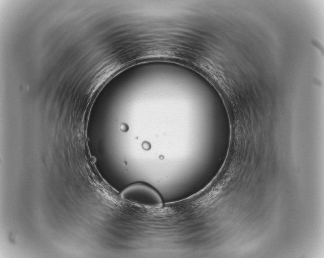 X0000093371129200710251147