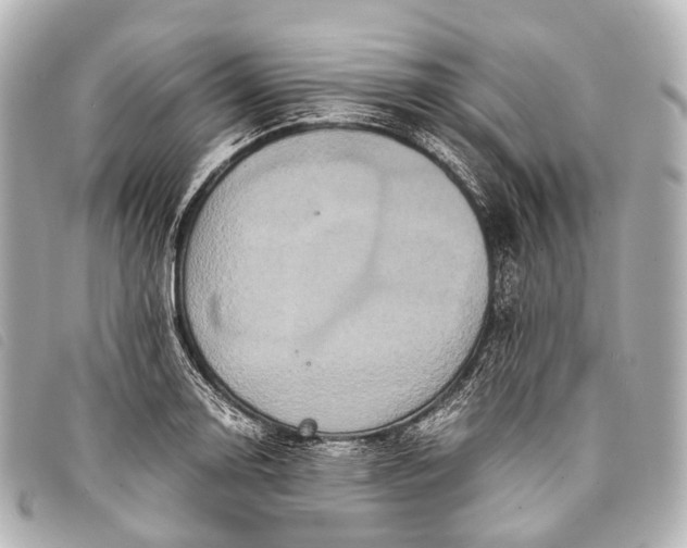 X0000093371130200710251147