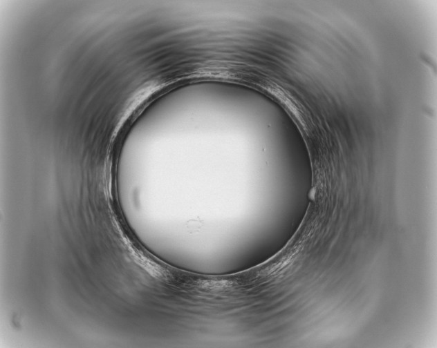 X0000093371131200710251147